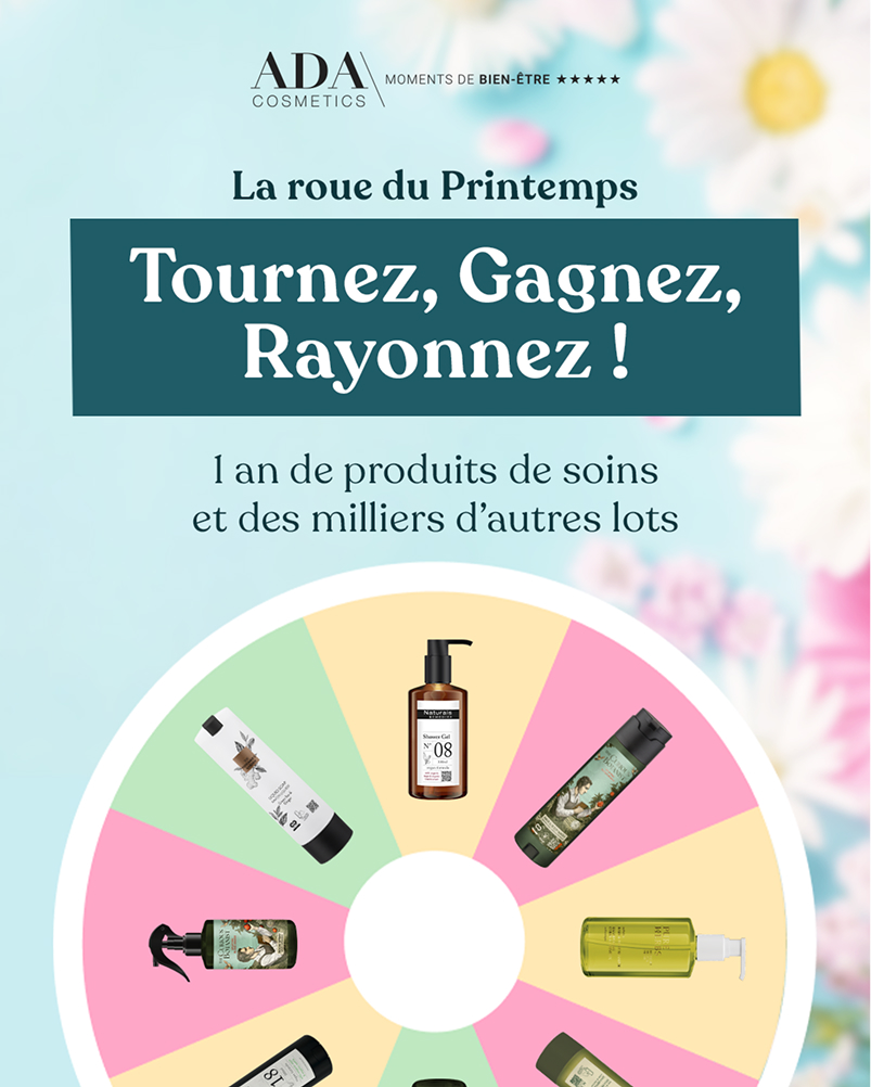 dispositif de gamification : la roue du printemps